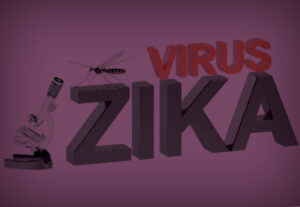 A graphic with a mosquito and Zika Virus in text.