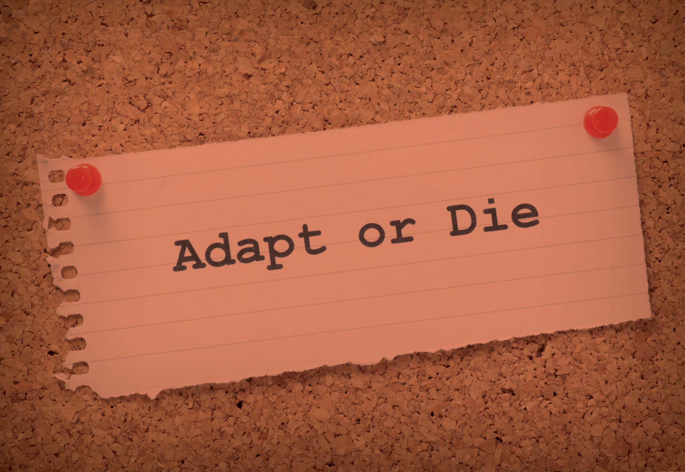 a piece of paper with adapt or die on it