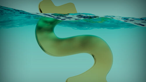 Money sinking in water