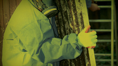 environmental liability