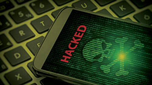 fraternal cyber attacks