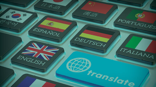 multilingual risk management program