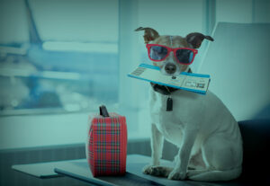 travel insurance