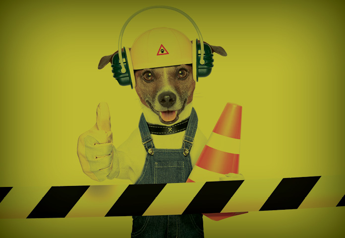 safety culture