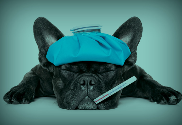 character in healthcare industry
