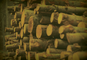 Pile of mass timber logs