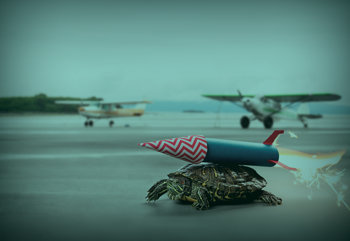 A turtle with a rocket on its back ready to fly