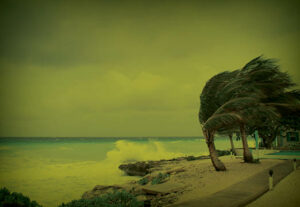 Protect Yourself from Hurricanes with private risk insurance