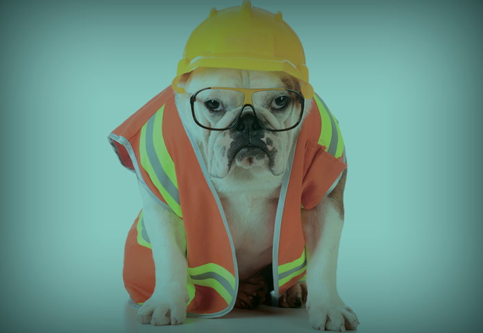 A dog pretending to be a construction worker