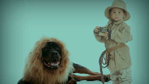 A child taking a picture of a dog dressed like a lion.
