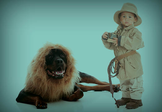 A child taking a picture of a dog dressed like a lion.