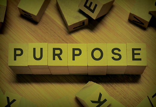 Wooden blocks with purpose on them