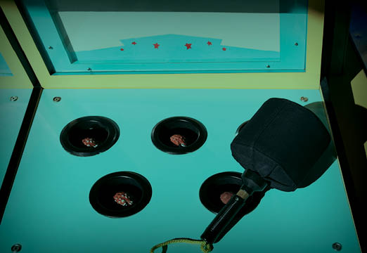 Whac-a-mole arcade game