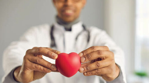 A doctor with brown hands holding a heart