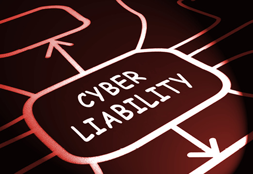 'cyber liability' in a red background with white lines spidering out.