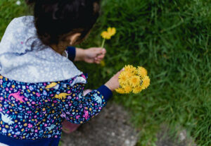 A child in a raincoat picking dandelions